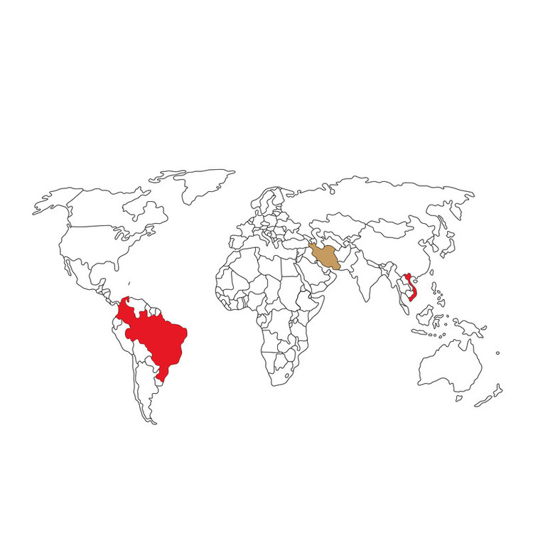 دانه قهوه رادیان ترکیب 50% عربیکا و 50% ربوستا دونیسی - 1 کیلوگرم