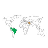 دانه قهوه استرادیان 100% عربیکا دونیسی برزیل - 1000 گرم