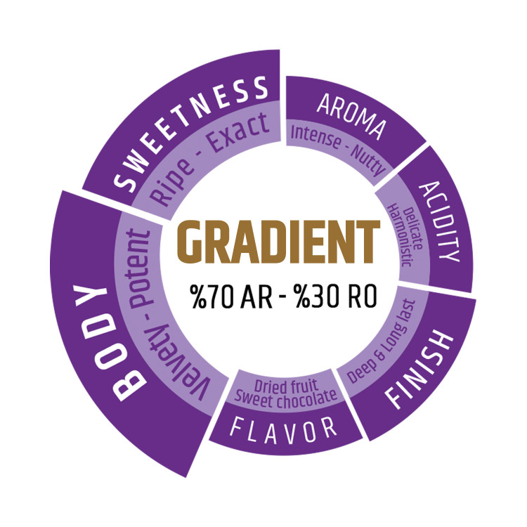 دانه قهوه گرادیان ترکیب 70% عربیکا و 30% ربوستا دونیسی - 1000 گرم