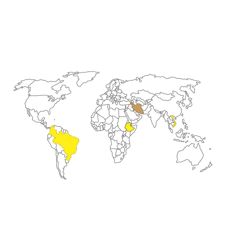 دانه قهوه ریمان ترکیب 80% عربیکا و 20% ربوستا دونیسی - 1000 گرم