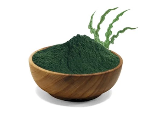 پودر جلبک اسپیرولینا (Spirulina)