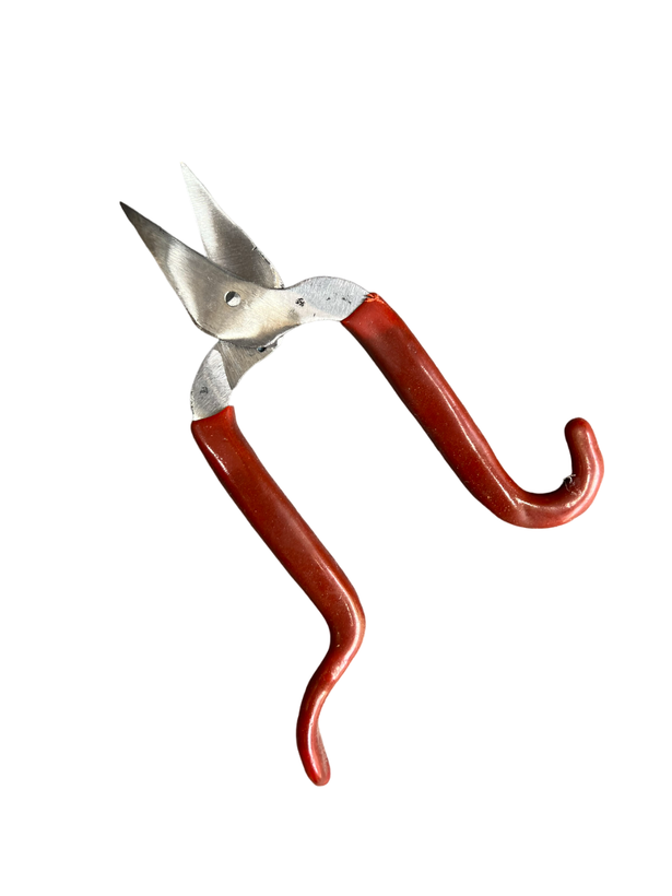 قیچی تبریز طرح قمی | قیچی زرگری